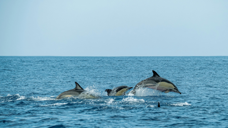 10 Outdoor Adventures to Try in Hilton Head This Year
